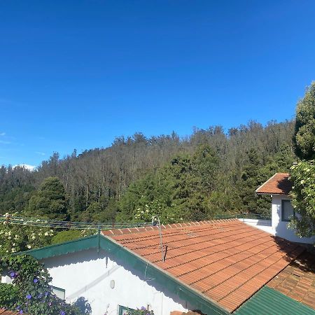 Bed and Breakfast The Tamarillo Ooty Exterior foto